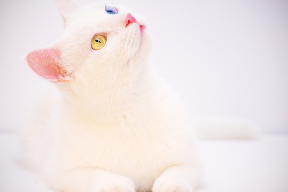 test-06022025-143533
