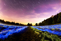 test-22112024-163343