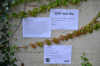 test-22112024-154754