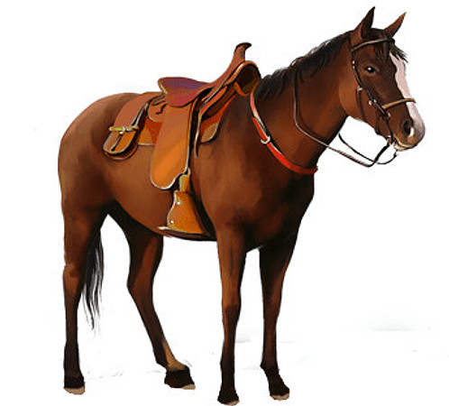 horse-and-saddle-transparent-background