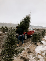 julianna-arjes-A2ghruXwdIM-unsplash