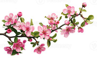 test-22112024-154757