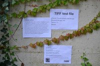 test-22112024-163545