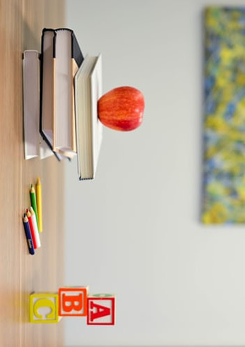 adventurous-girl-hiking-top-mountain-dog-adventurous-girl-hiking-top-mountain-dog-colorful-167580555